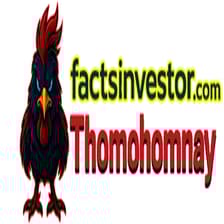Profile picture for THOMOHOMNAY DOUNT