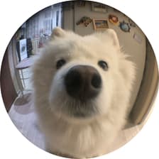 Profile picture for Thanawat Thames