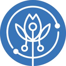 Profile picture for Miyalí Abarca