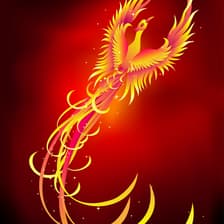 Profile picture for Cyndi Barker-Kunkel