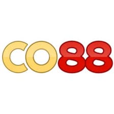 Profile picture for CO88