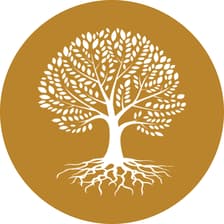 Profile picture for Amaltash