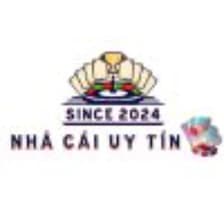 Profile picture for nhacaiuytin news