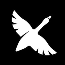 Profile picture for goose