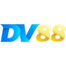 Profile picture for dv88