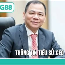 Profile picture for CEO Lê Thắng Long