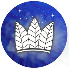 Profile picture for Łódź Jungle Web