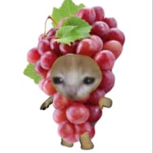 Profile picture for maggie