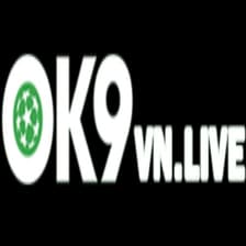 Profile picture for Ok9vn live