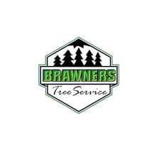 Profile picture for Brawner's Tree Service LLC