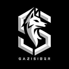 Profile picture for gazisiber