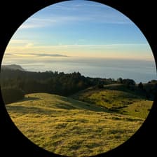 Profile picture for Maria Anjum