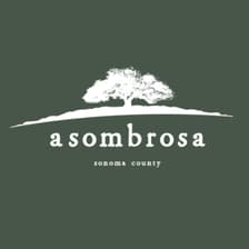 Profile picture for Asombrosa