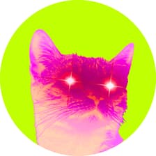Profile picture for Coffee With Crypto