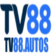Profile picture for TV88