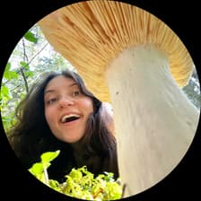 Profile picture for Marie Pariseau