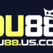 Profile picture for Nhà Đài DU88