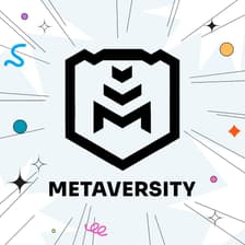 Profile picture for Metaversity 🛡️