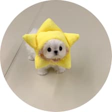 Profile picture for chun yu