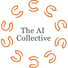 Profile picture for The AI Collective Innsbruck