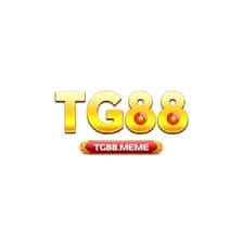 Profile picture for TG88