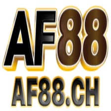 Profile picture for Af88