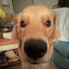 Profile picture for ASJ