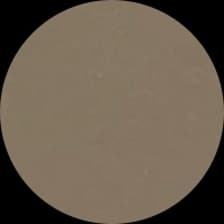 Profile picture for Sana Hadi