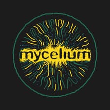 Profile picture for Mycelium Ecology