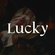 Profile picture for Lucky Li