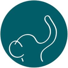 Profile picture for Tiny Culture