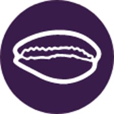 Profile picture for Hotshi