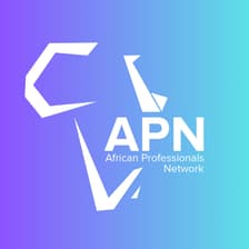 Profile picture for African Professional Network