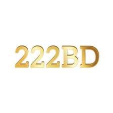Profile picture for 222bd