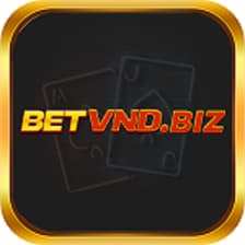 Profile picture for betvndbiz