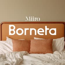 Profile picture for Hotel Borneta