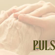 Profile picture for Pulsas