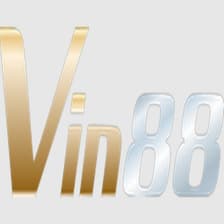 Profile picture for VIN88