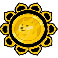 Profile picture for DCTRL