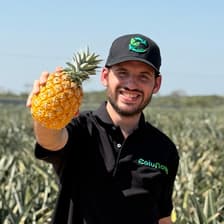 Profile picture for Jose.Startup