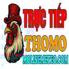 Profile picture for ĐÁ GÀ TRỰC TIẾP THOMO HÔM NAY