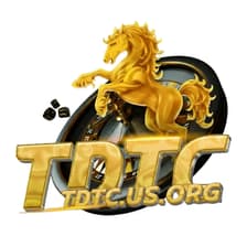 Profile picture for TDTC us org