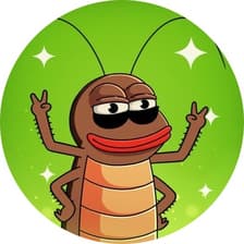 Profile picture for KOKOK the roach🪳