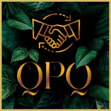 Profile picture for QPQ International