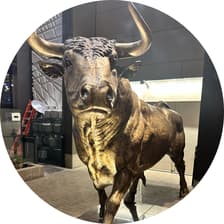 Profile picture for Sakamoto