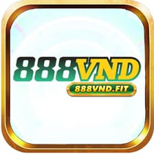 Profile picture for 888vndfit