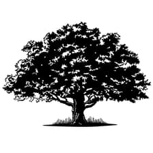 Profile picture for Scanlan Foundation