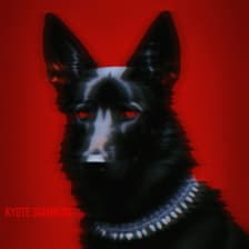 Profile picture for Dj Weedim Romain