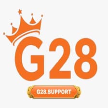 Profile picture for G28 support