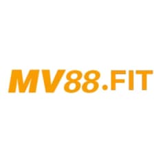 Profile picture for Mv88